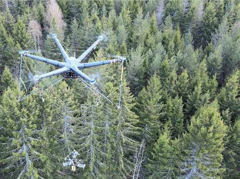 Drone flying over forest